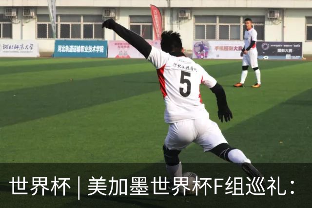世界杯 | 美加墨世界杯F组巡礼：“死亡之组”的24种排列组合