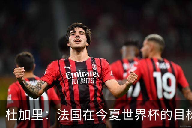 杜加里：法国在今夏世界杯的目标就是夺冠，如果没赢就是失败