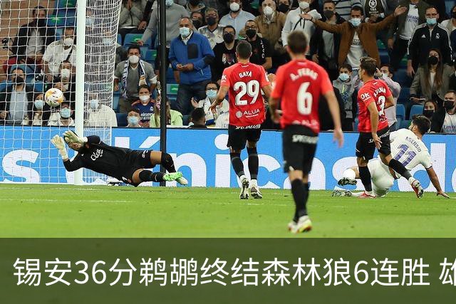 锡安36分鹈鹕终结森林狼6连胜 雄鹿险胜公牛